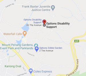 OPTIONS-DISABILITY-SUPPORT-MAP