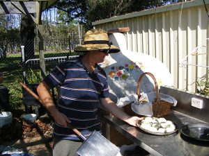 potting bulbs at the autumn harvest festival